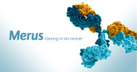 Merus management group ltd.
