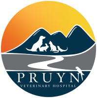 Missoula veterinary clinic