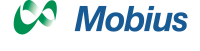 The mobius group, inc