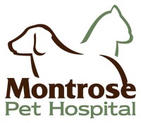 Montrose veterinary clinic