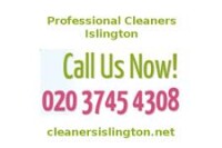 Professional Cleaners Islington