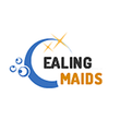 Professional Cleaners Ealing