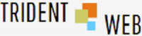 SEO, Digital Marketing Services in Pune, India : Trident Web Infoservices