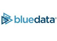 Blue data it-support ooo sivuliike suomessa