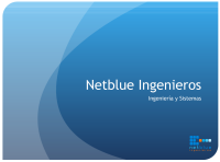 Netblue ingenieros