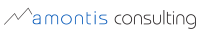 Amontis consulting