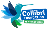 Fundación colibríes