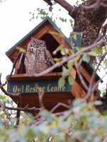 Owl rescue centre npc