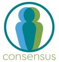 Concessus consulting
