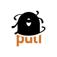 Puli space technologies