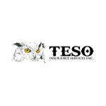 Teso insurance services, inc.