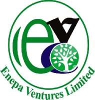 Enepa