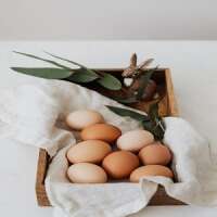 S & R Egg Ranch