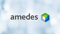 Amedes mvz