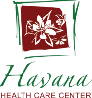 Havana health business services, llc