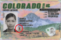 driver license colorado