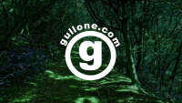 Gullone group