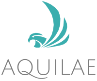 Aquila consulting group