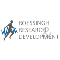 Roessingh dienstengroep bv