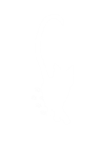 Kattencafé balthazar