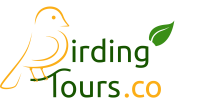 Birdingtours gmbh