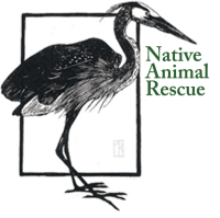 Native animal rescue