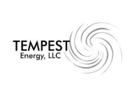Tempest design group llc