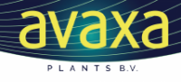 Avaxa plants b.v. | boskoop - holland
