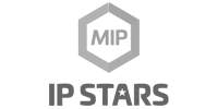 Ipstyle patent law company