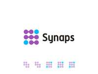 Synaps loans llc