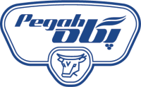 Pegah co.