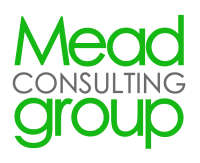 The mead consulting group, inc.