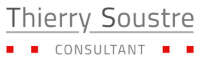 Thierry soustre consultant