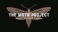 Moth projects