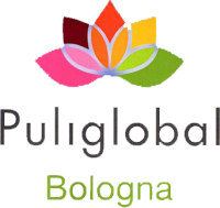Puliglobal service