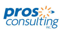 Pro consulting llc