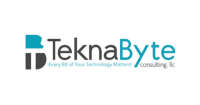 Teknabyte consulting, llc