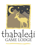 Thabaledi game lodge