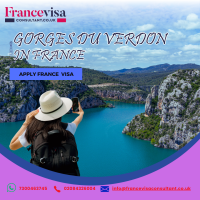 France Visa Consultant