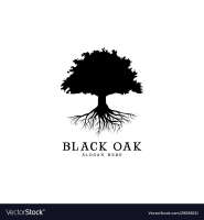 Black oak