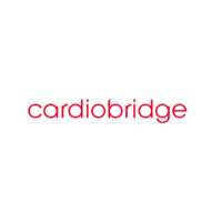 Cardiobridge gmbh