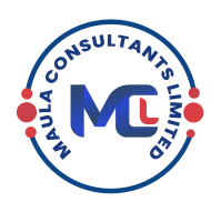 Maula consultancy services bv