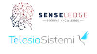 Telesio sistemi