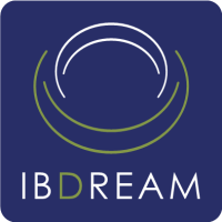 Ib dreams – global and innovative solutions, lda.