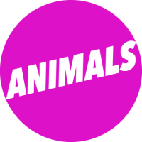 Animals films riedweg&folk produccions audiovisuals