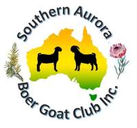 Carrington view boer goats