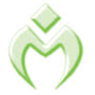 Frances magill financial strategists pty ltd