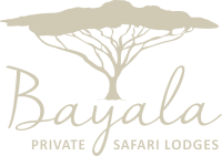 Idwala game lodge