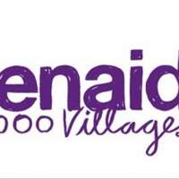 Openaid 1000 villages