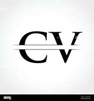 Cv the one